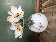 Smuk vase med hvide pletter